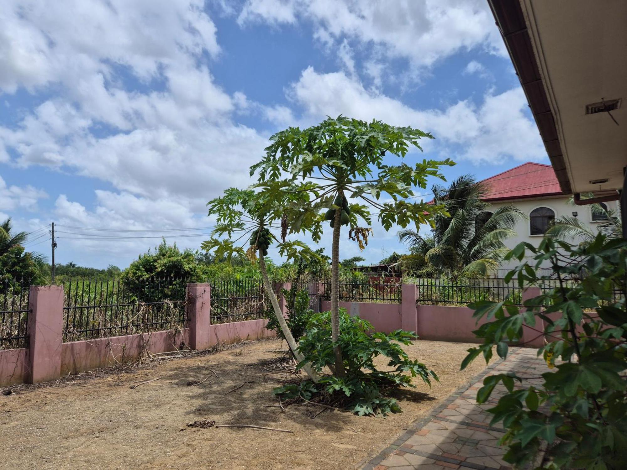 Chander'S Villa Paramaribo Extérieur photo