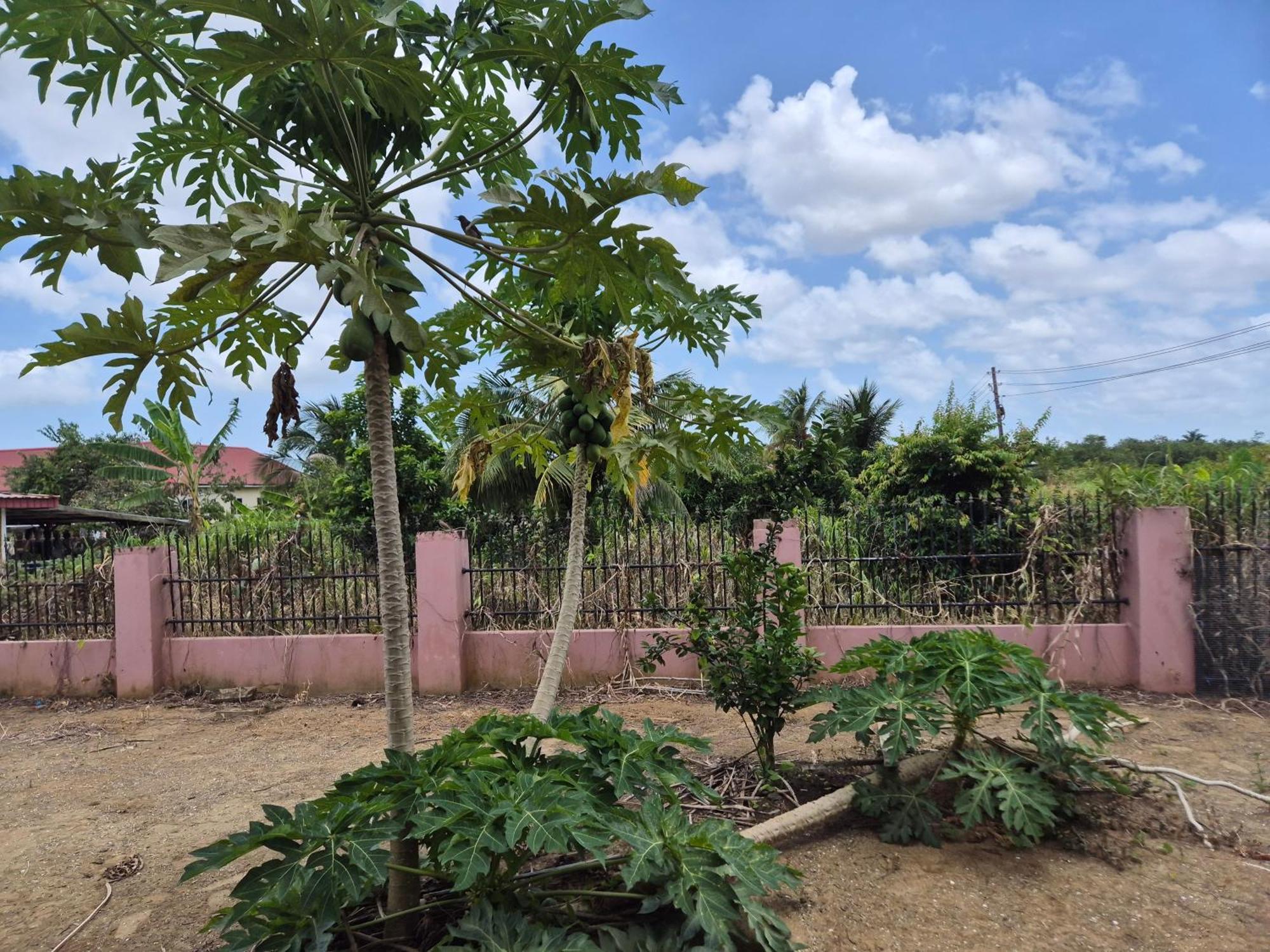 Chander'S Villa Paramaribo Extérieur photo
